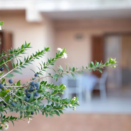 Apartment Rosy House *